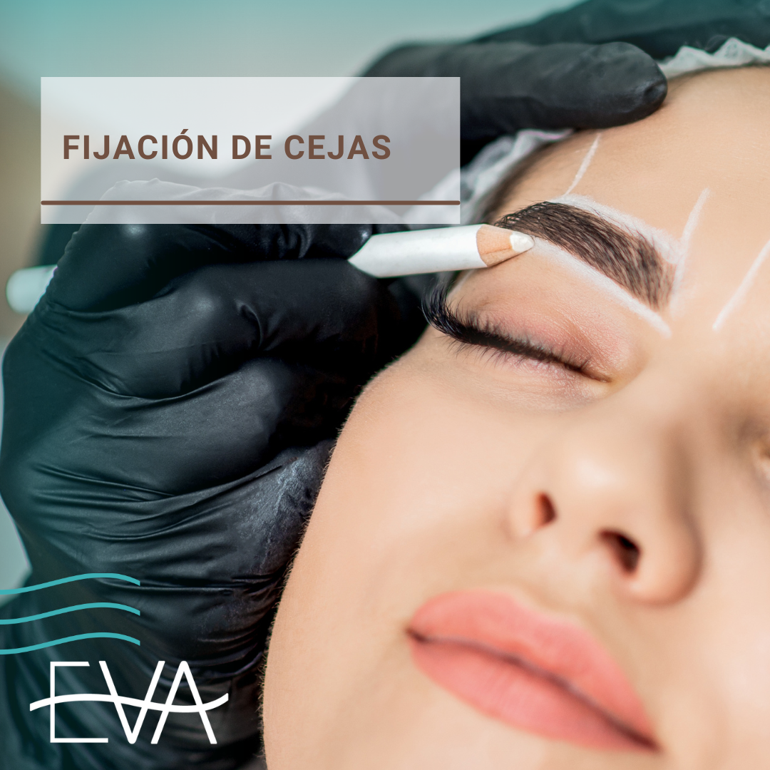 Fijación de Cejas