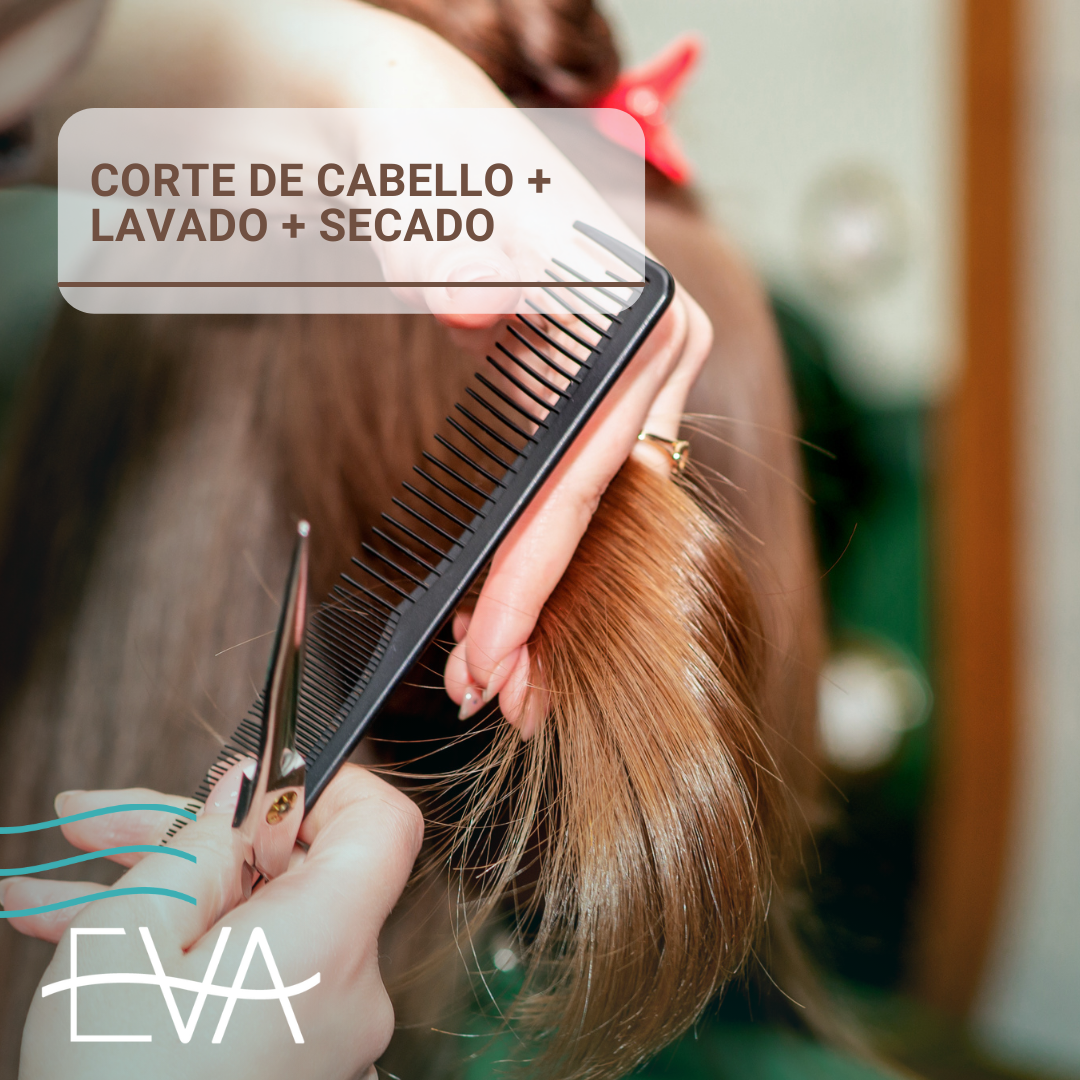 Corte de cabello + Lavado + Secado