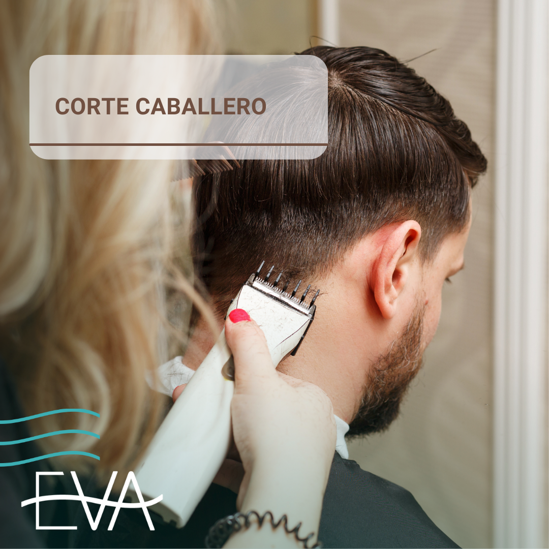 Corte de Caballero